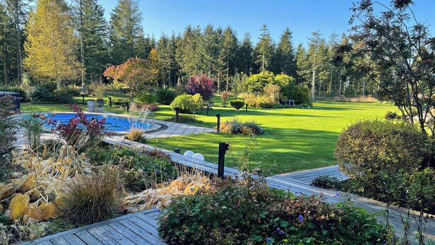 A pool surrounded by a wooden deck, a grassy lawn, and a forested area. - Relax in the countryside with pool (Aulum)