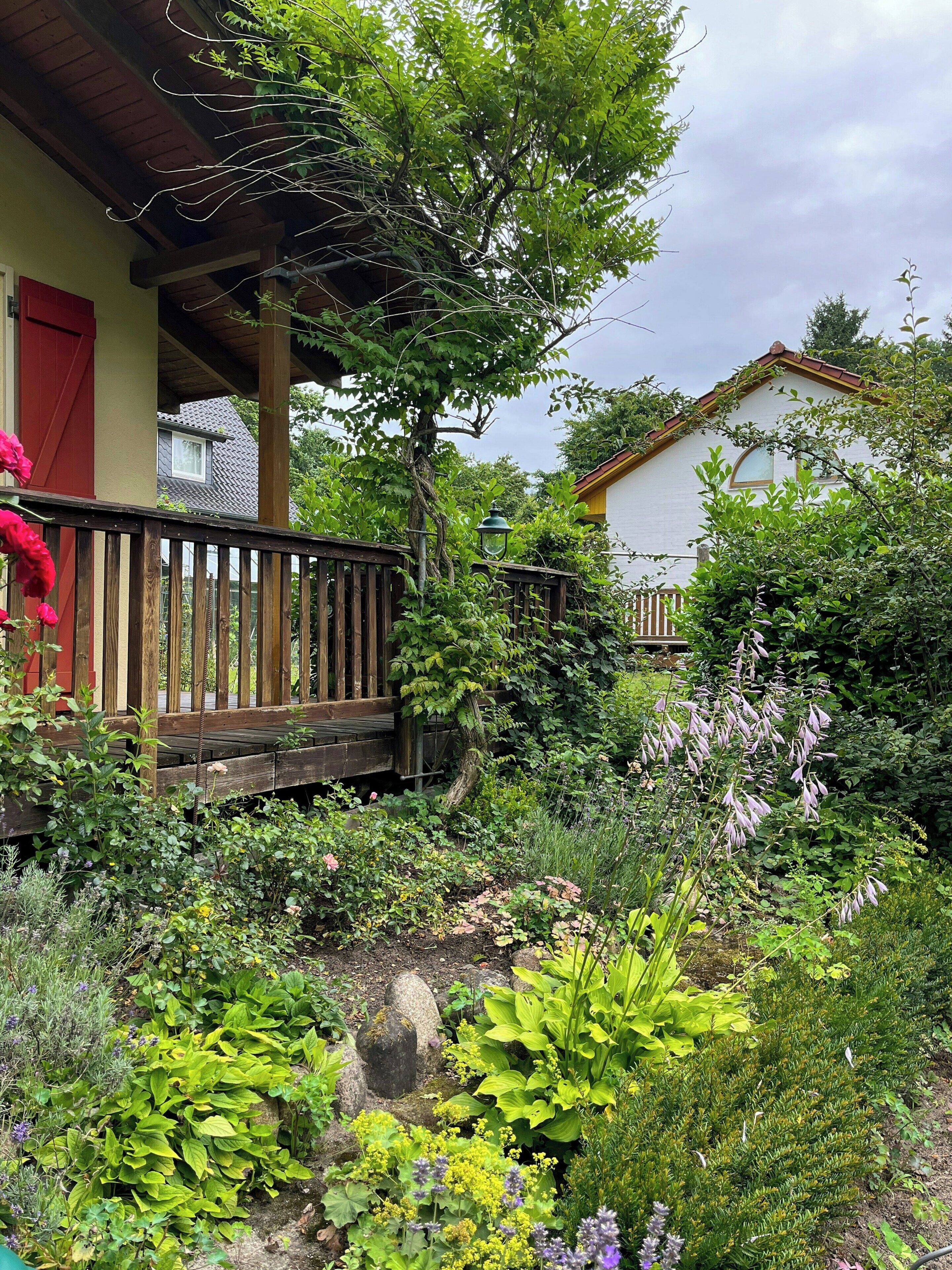 Un jardí amb un pont de fusta, plantes diverses i una casa amb una porta vermella.