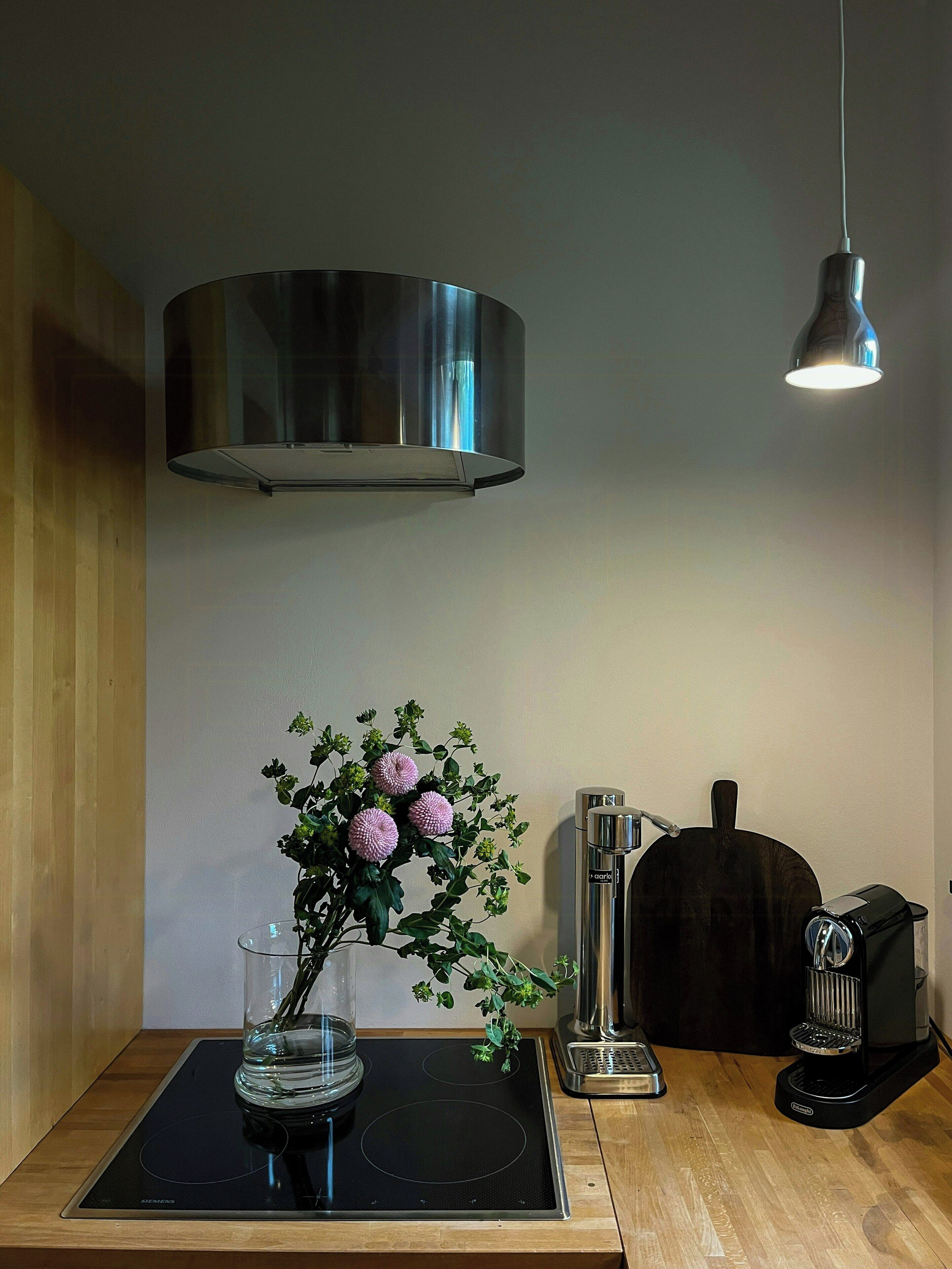 Una cocina con estufa moderna, cafetera y planta decorativa.
