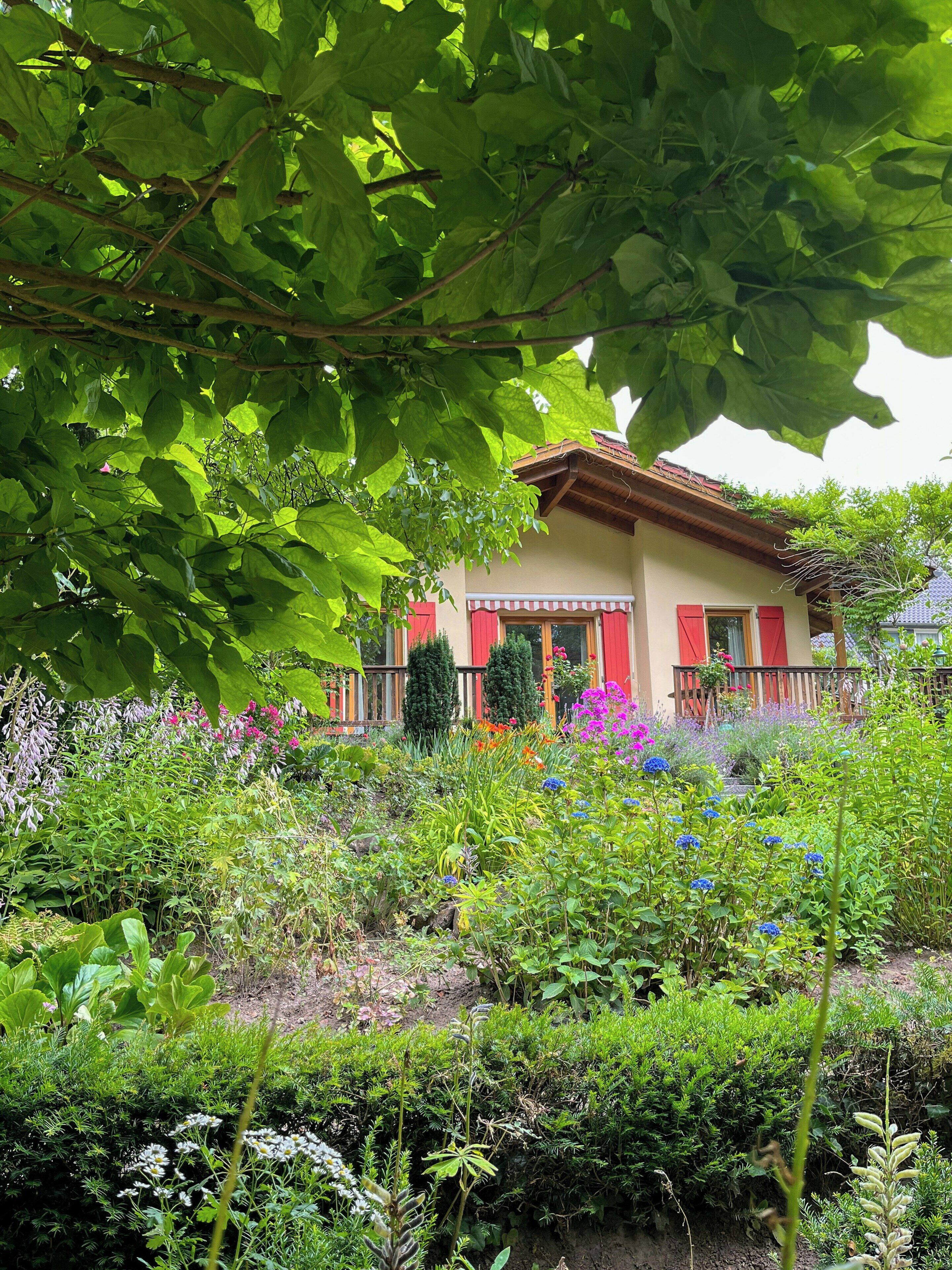 Una casa envoltada de vegetació exuberanta i diferents plantes.