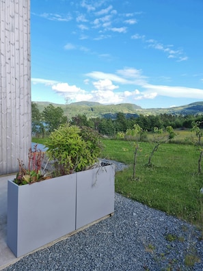 A modern building with a white exterior, a large planter with plants, and a view of a green landscape with hills.