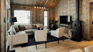 Fernseher, Kamin