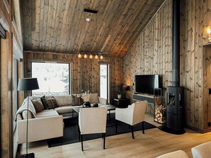 Fernseher, Kamin