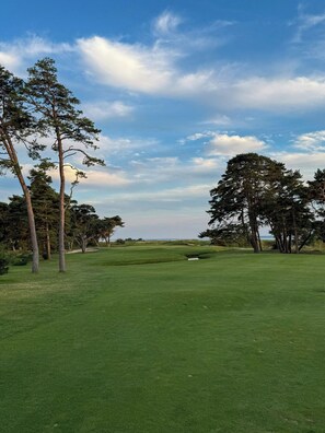 Ein Golfplatz mit Bäumen, blauem Himmel und weiter Aussicht.