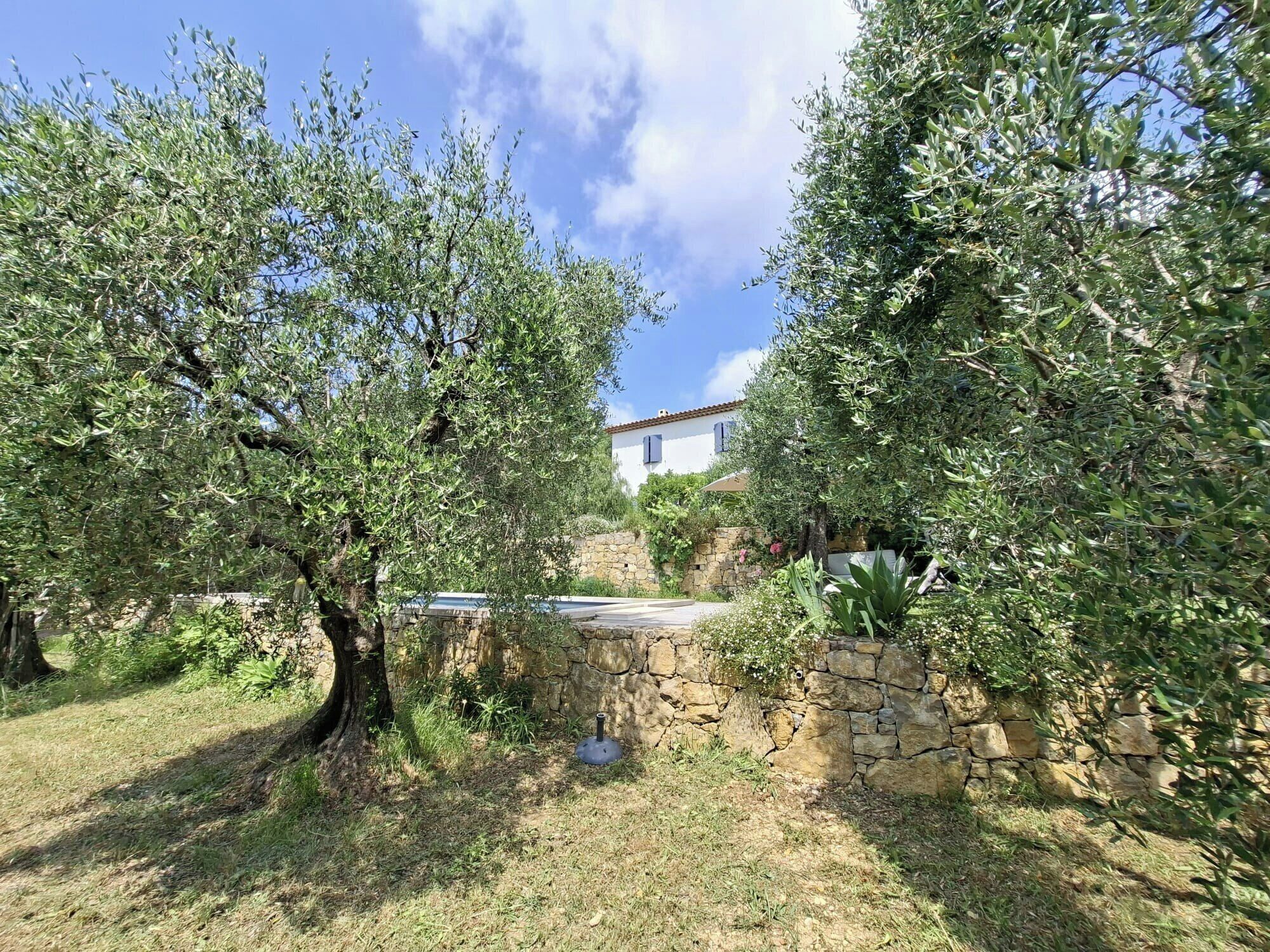 A stone wall, a white building with blue shutters, and olive trees.