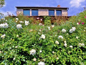 Ein Steinhaus mit Balkon, umgeben von üppigem Grün und weißen Blüten.