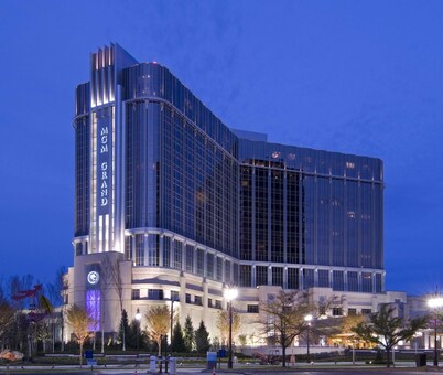 Luxury Detroit 1Bedroom Suite ,1 min DMC, 7dmin MGM, Wayne State & Ford Field