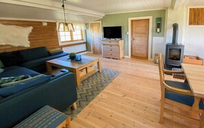 Fernseher, Kamin