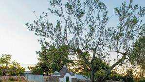Un'area verde curata con un albero, rocce e un vialetto lastricato.