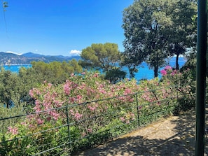 A pathway with a metal railing, surrounded by greenery and pink flowers, leading to a scenic view of a body of water and distant mountains.