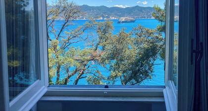 Design Villa with private sea access in Portofino