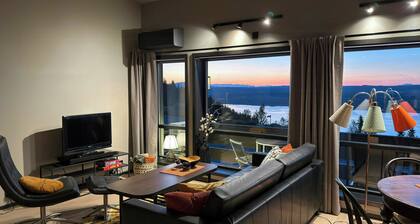 Modern flat with fjord view on Golsfjellet