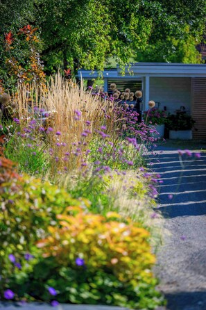 Ein Gartenweg mit verschiedenen Pflanzen und Blumen.