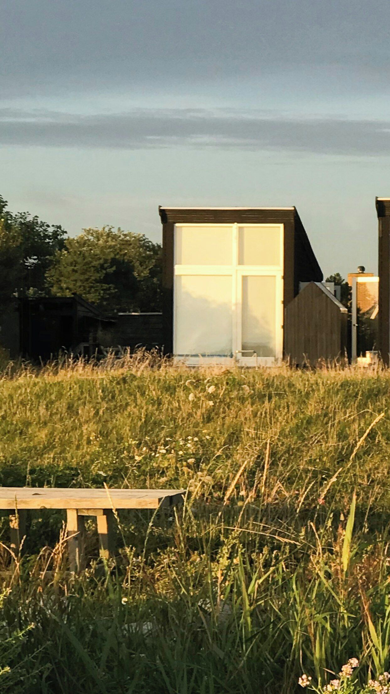 A modern building with large windows, surrounded by tall grass and trees.