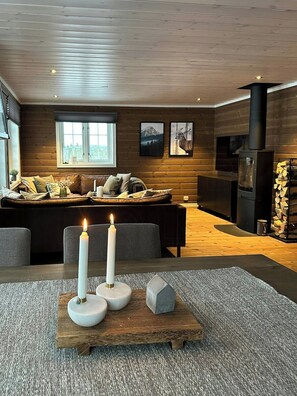 Fernseher, Kamin
