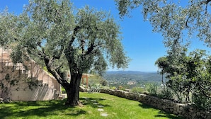 Ein Steinweg führt zu einem Gazebo, umgeben von Olivenbäumen und einer Steinmauer.