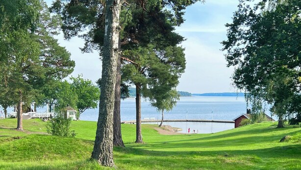 Un paysage verdoyant avec des arbres, un quai et un petit bâtiment situé près d’une étendue d’eau.
