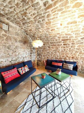 A room with stone walls, two sofas with patterned cushions, a floor lamp, and a small table with a plant. - Charming renovated workshop in Ardèche (Joyeuse)