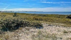 Een kustlandschap met een zandstrand, begroeide duinen en een heldere blauwe lucht.