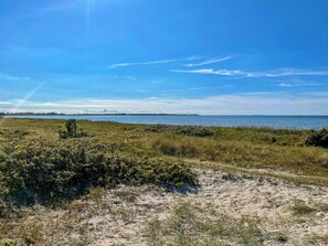 Eine Küstenlandschaft mit Sandstrand, grasbewachsenen Dünen und blauem Himmel.