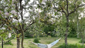 Un hamac est suspendu entre deux arbres dans une zone herbeuse où les fleurs sont en pleine floraison.
