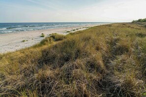 Ein Strand mit Dünen und dem Meer.