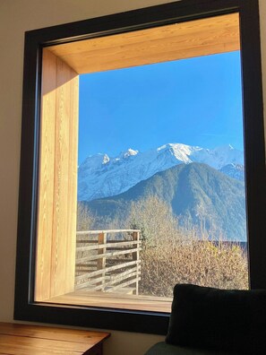 Une pièce dotée d’une grande fenêtre donnant sur des montagnes enneigées.