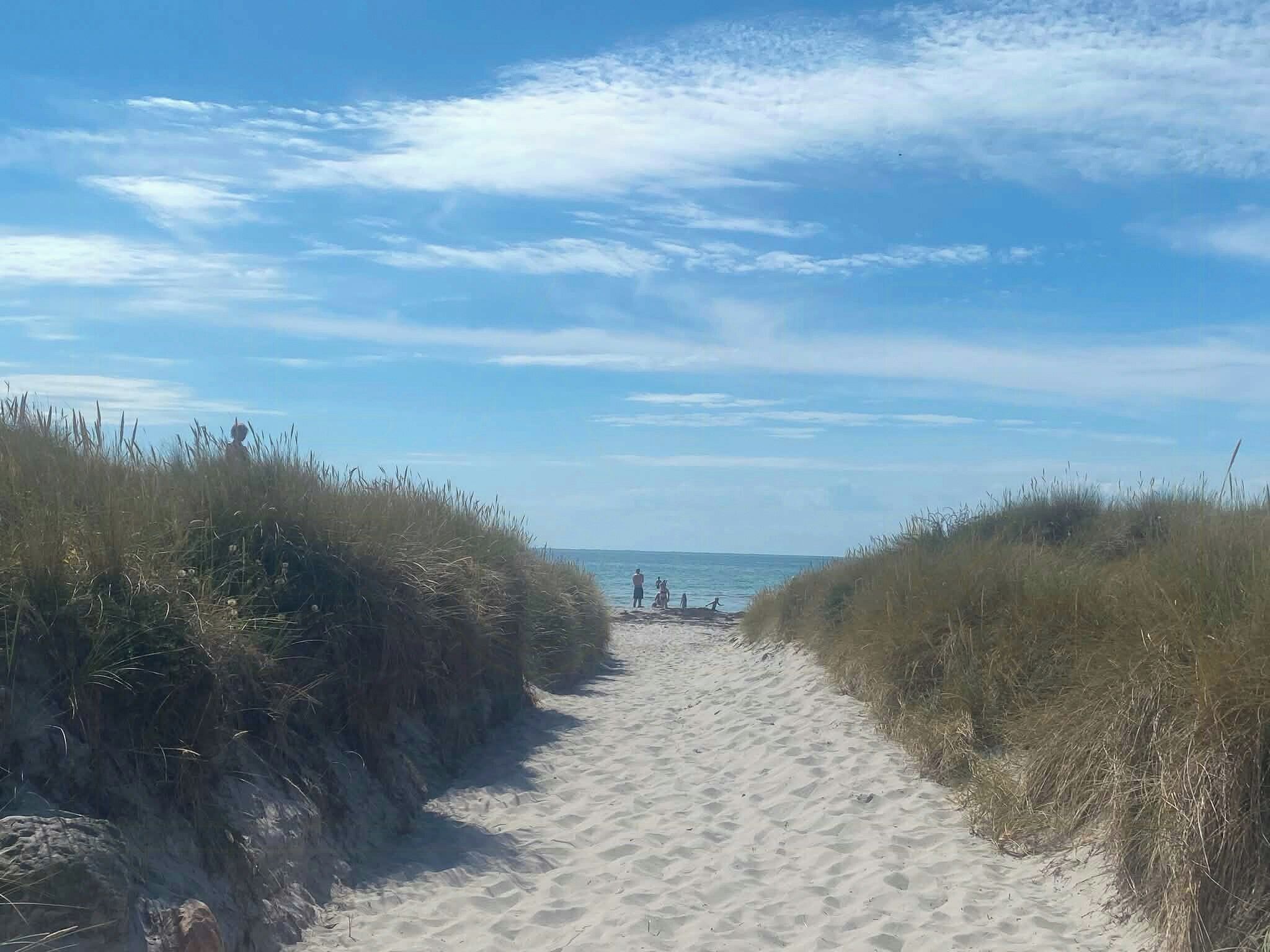 Un sentier de sable bordé d’herbe, qui mène à la mer sous un ciel dégagé.