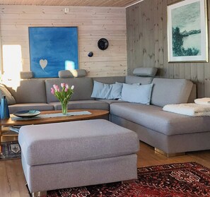 TV, fireplace - Lovely cabin amidst bustling wildlife (Vannareid)
