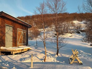 Exterior - Lovely cabin amidst bustling wildlife (Vannareid)