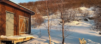 Une belle cabane entourée d'une faune et d'une flore abondantes