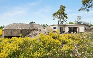 Una casa moderna con una roca grande, plantas con flores amarillas y un árbol.