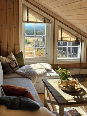 Fernseher, Kamin