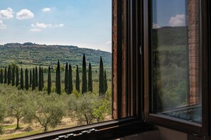 Blick durch ein Fenster auf eine Baumlandschaft und einen entfernten Hügel.