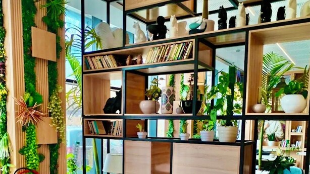 A modern living room with a grey sofa, two round tables, and a wooden bookshelf filled with books and decorative items. - Yot Hotel Algiers (Algiers)