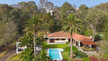 A house with a swimming pool, surrounded by palm trees and a garden.
