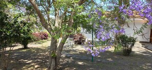 A garden with trees, a patio area, and a building in the background. - Exclusive Villa Mirador de Arucas - Family & Friends (Arucas)