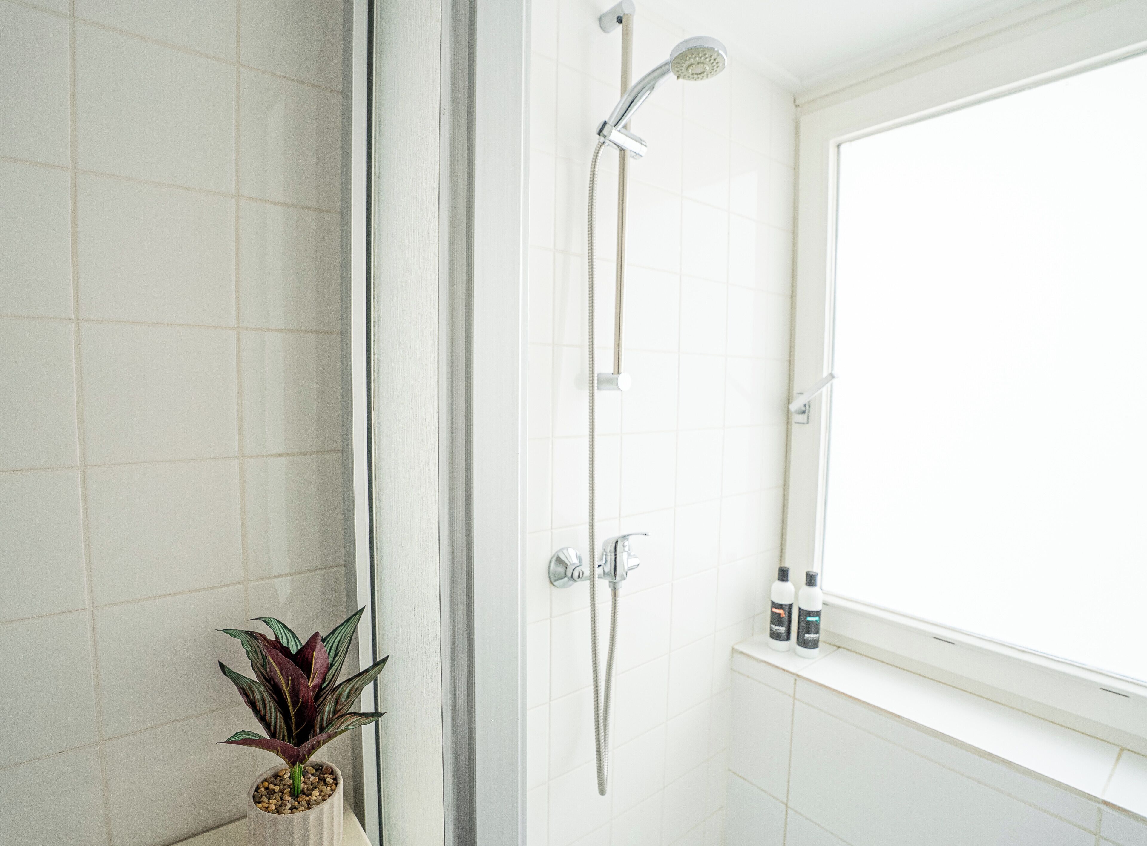 Un baño con azulejos blancos, ducha con cabezal de ducha manual, una planta en maceta y dos botellas en una estantería.