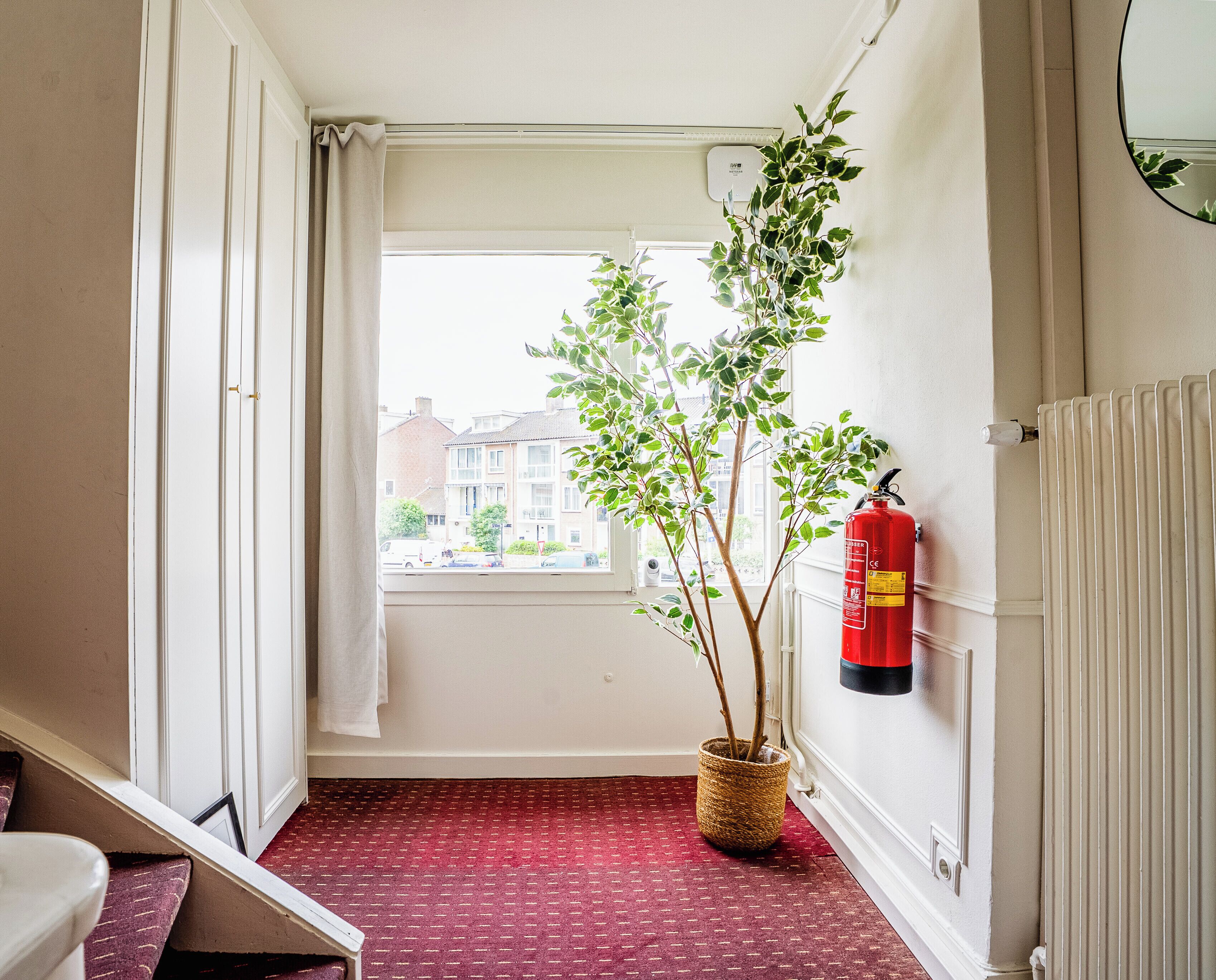 A hallway with a red fire extinguisher, a potted plant, and a radiator.