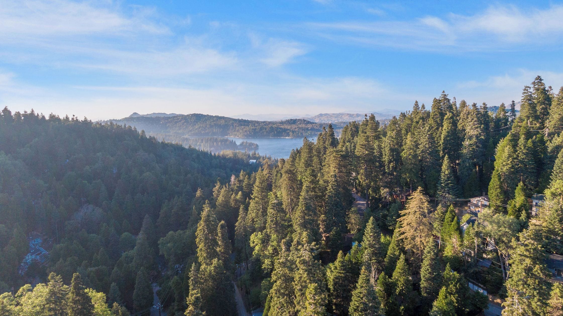 A forested landscape with a lake and distant mountains.