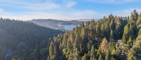 A forested landscape with a lake and distant mountains.