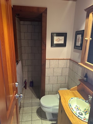Douche, séchoir à cheveux, serviettes fournies, savon