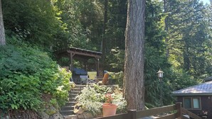 A wooden staircase leading up to a covered seating area surrounded by lush greenery and trees.