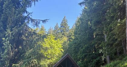Harrison Lakeview Guesthouse - A Cozy Harrison Cabin with stunning view