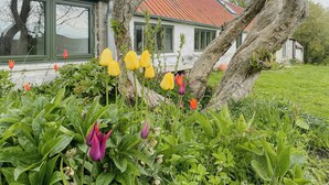 Una casa con techo rojo, ventanas grandes y un jardín con tulipanes.