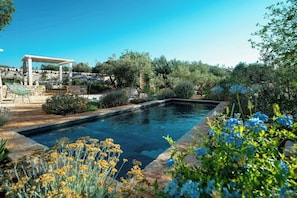 A swimming pool with a stone border, surrounded by greenery and a pergola. - Restored trullo with pool near Alberobello (Martina Franca)