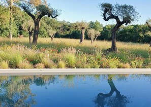 Ein Schwimmbecken mit Bäumen und Blumen im Hintergrund.