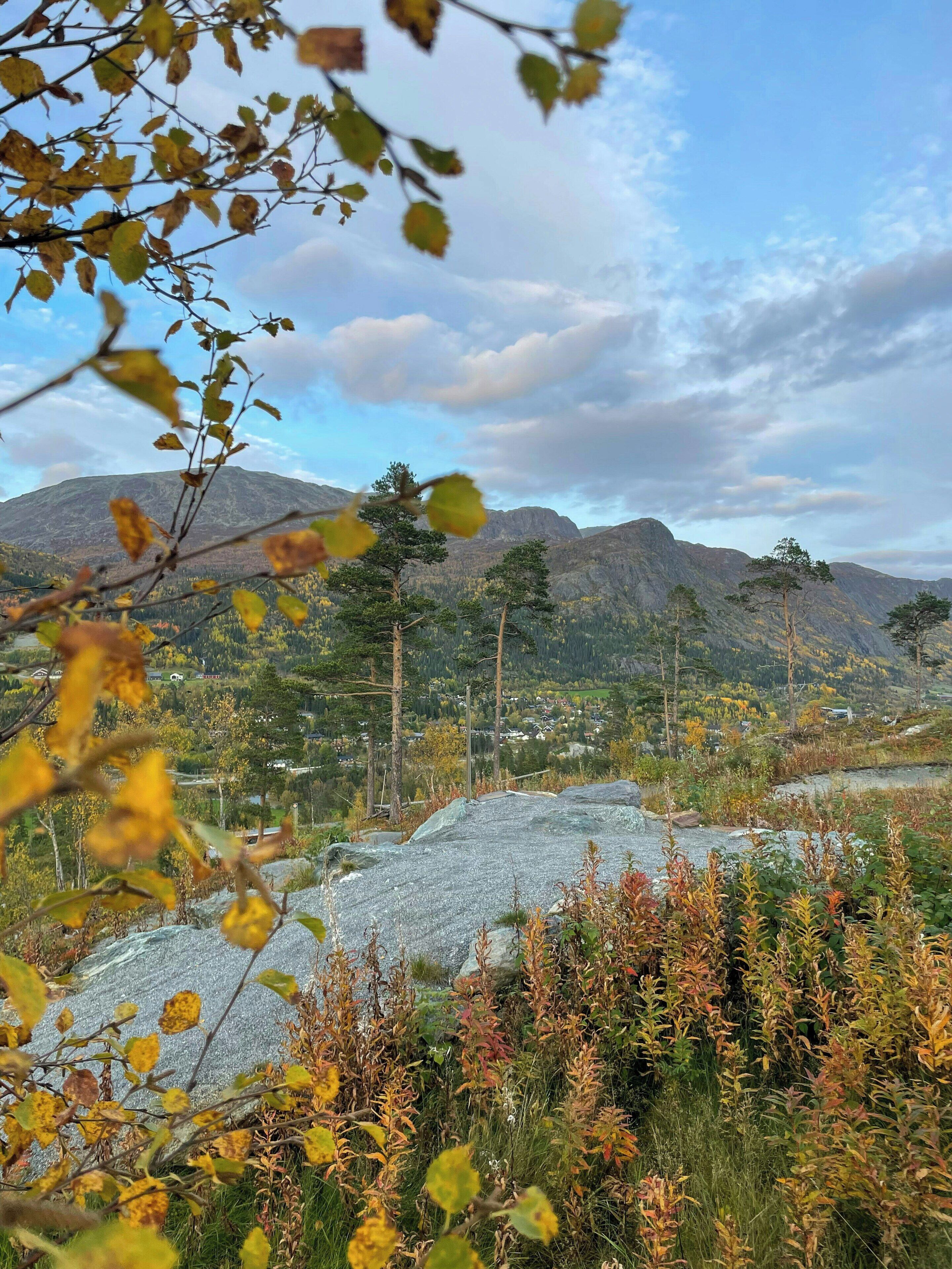 A mountainous landscape with a road, trees, and a clear sky.