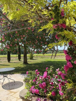 Ein Garten mit einer Pergola, einem Tisch und Stühlen.