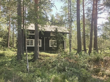 Exterior. Historic forest cabin by Lake Steinsvannet